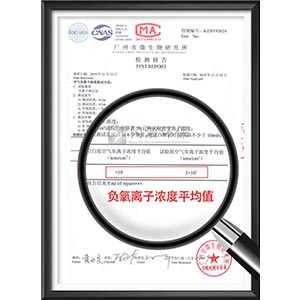 空氣負(fù)離子濃度測(cè)試檢測(cè)報(bào)..
